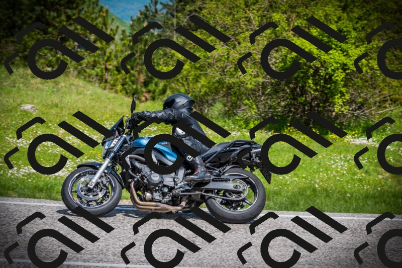 202505171010-DSC03837_c1_