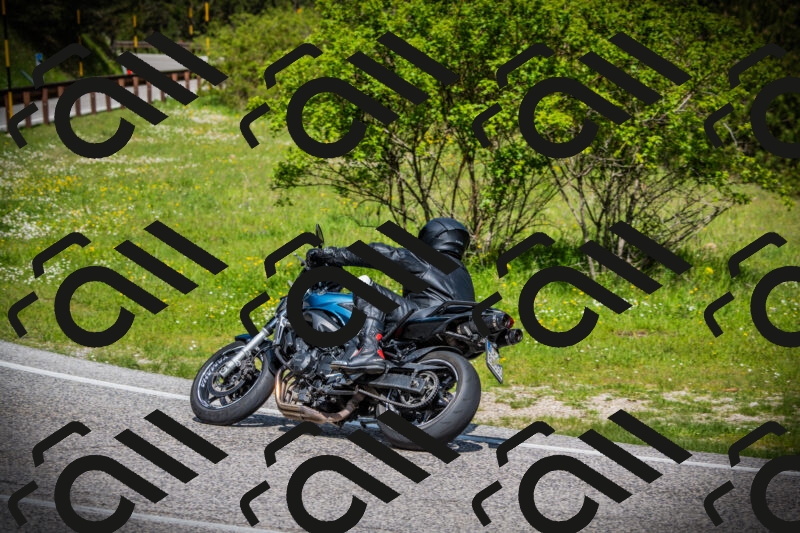 202505171010-DSC03838_c1_