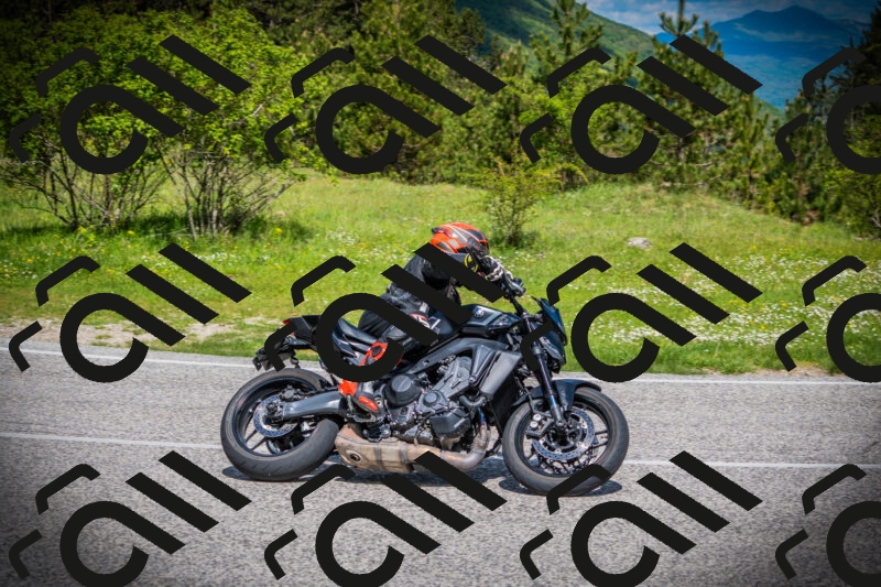 202505171012-DSC03855_c1_