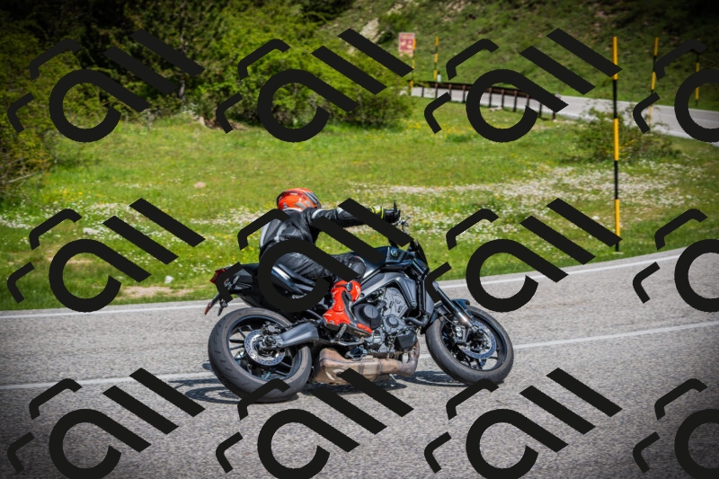 202505171012-DSC03856_c1_