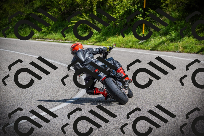 202505171012-DSC03857_c1_