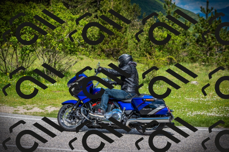 202505171013-DSC03872_c1_