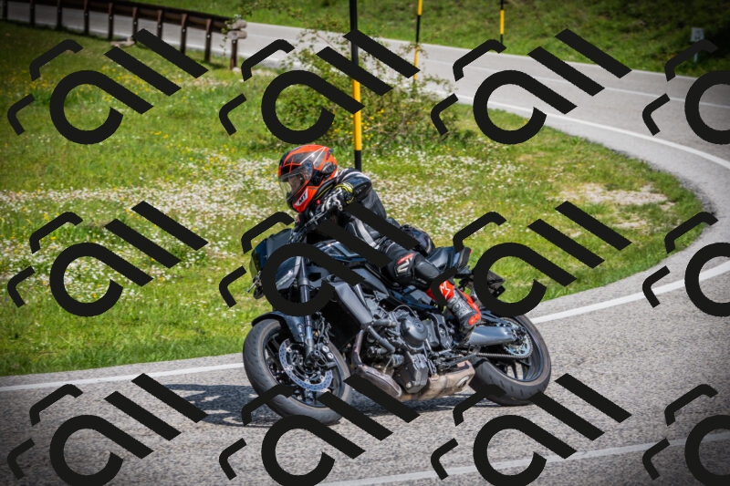 202505171013-DSC03875_c1_