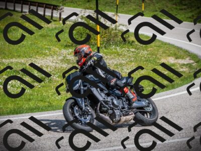 202505171013-DSC03875_c1_