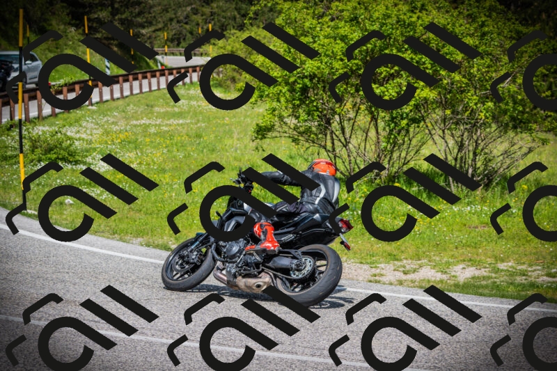 202505171013-DSC03877_c1_