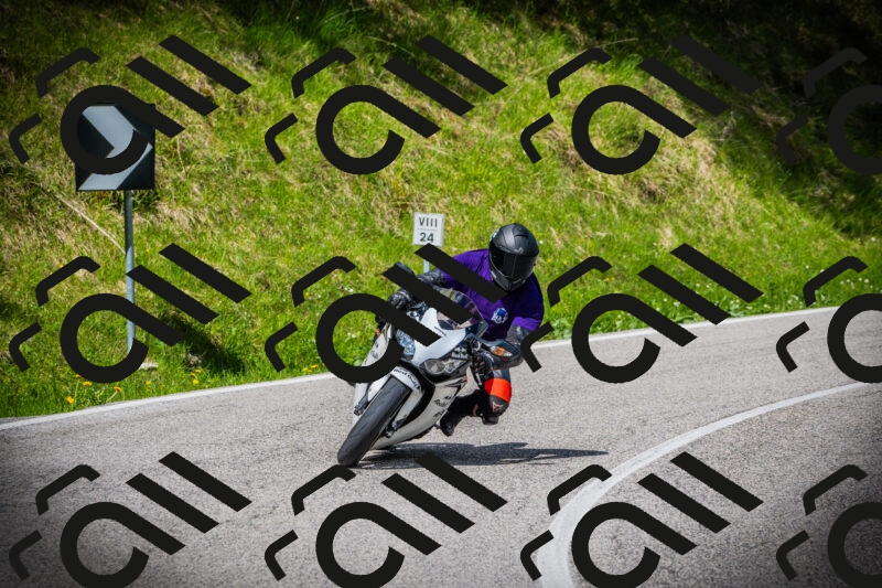 202505171013-DSC03880_c1_