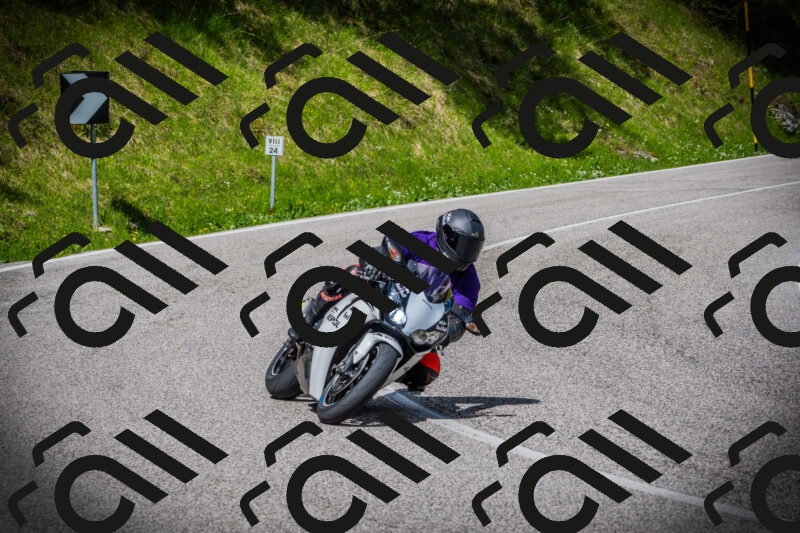 202505171013-DSC03881_c1_