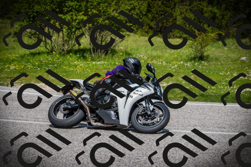 202505171013-DSC03882_c1_