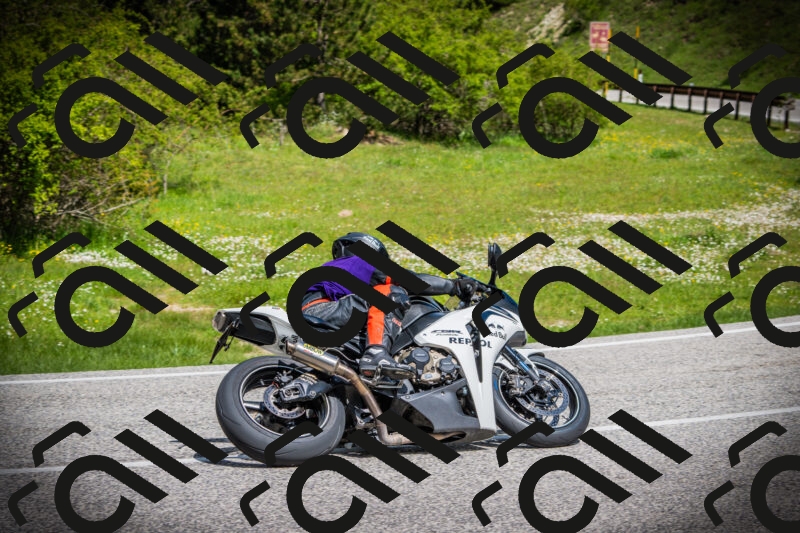 202505171013-DSC03883_c1_