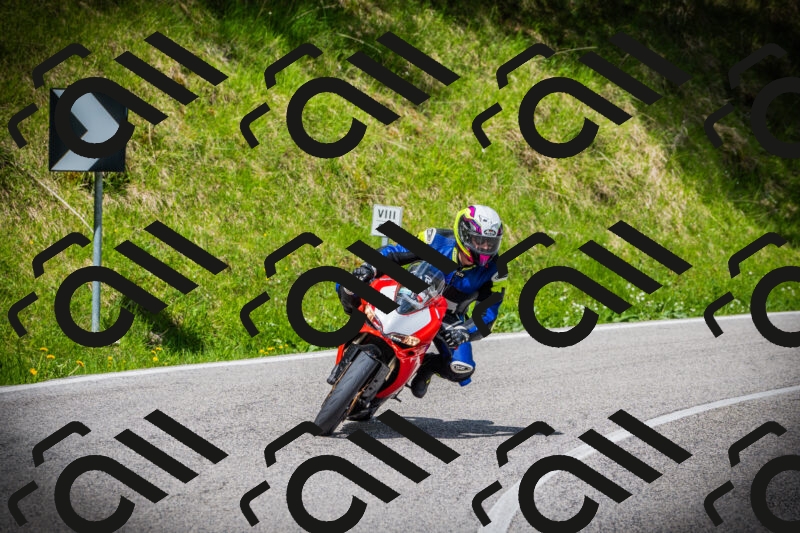 202505171013-DSC03887_c1_