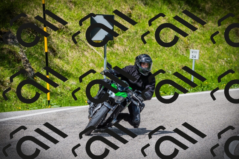 202505171013-DSC03894_c1_