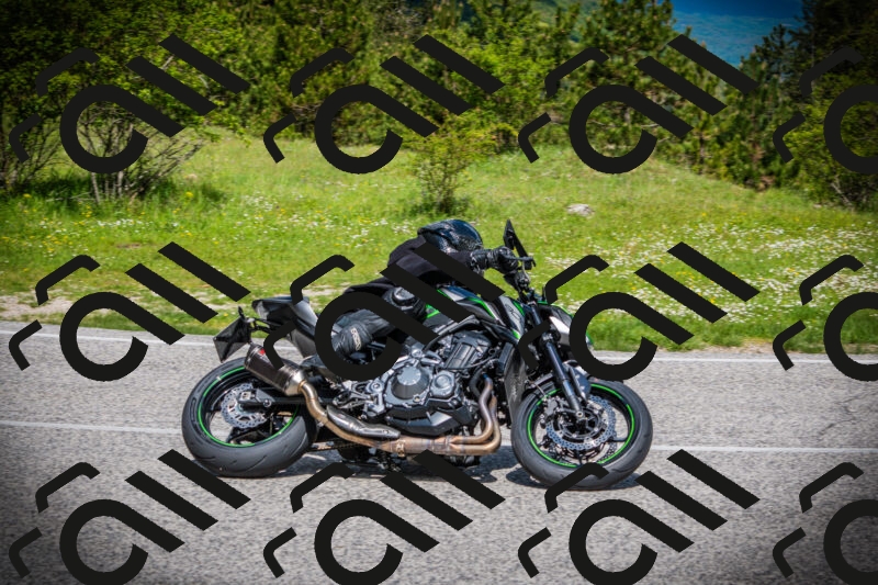 202505171013-DSC03896_c1_