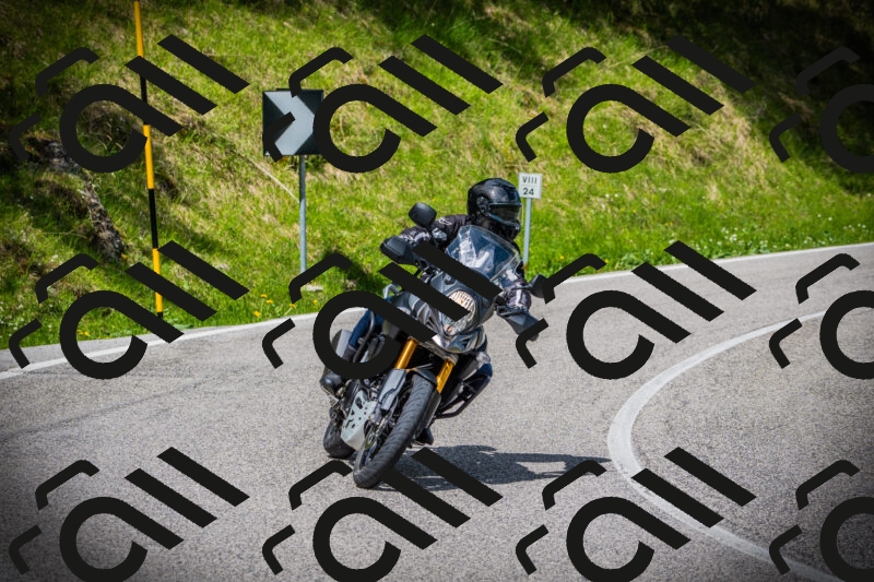 202505171014-DSC03901_c1_