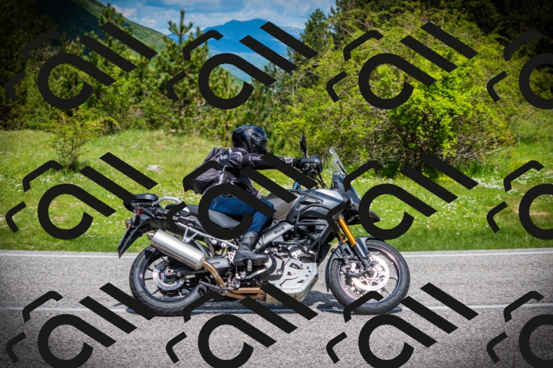 202505171014-DSC03903_c1_