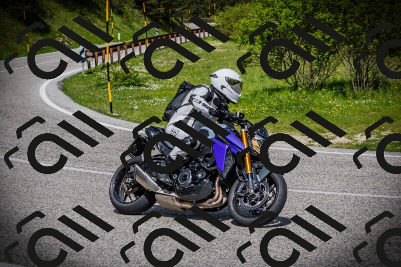 202505171014-DSC03908_c1_