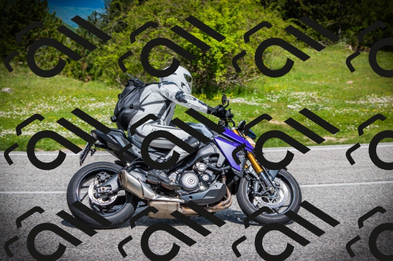 202505171014-DSC03909_c1_