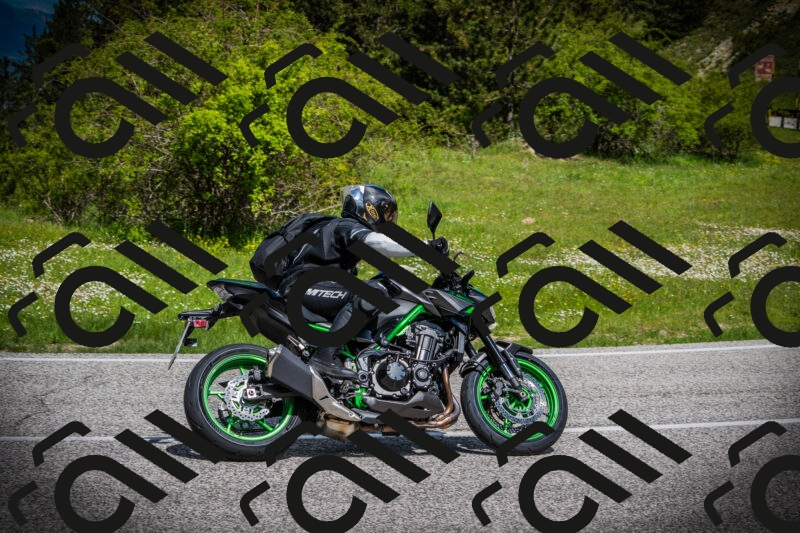 202505171014-DSC03910_c1_