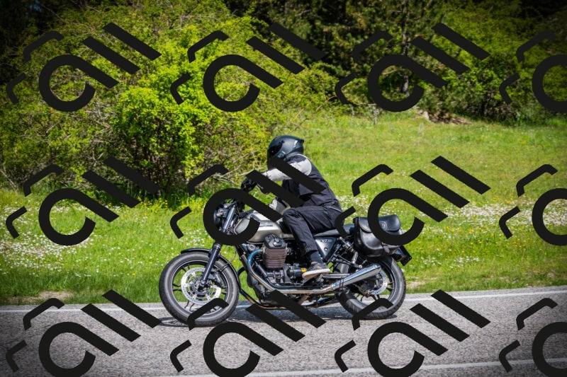 202505171015-DSC03917_c1_