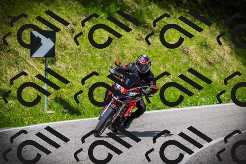 202505171015-DSC03923_c1_