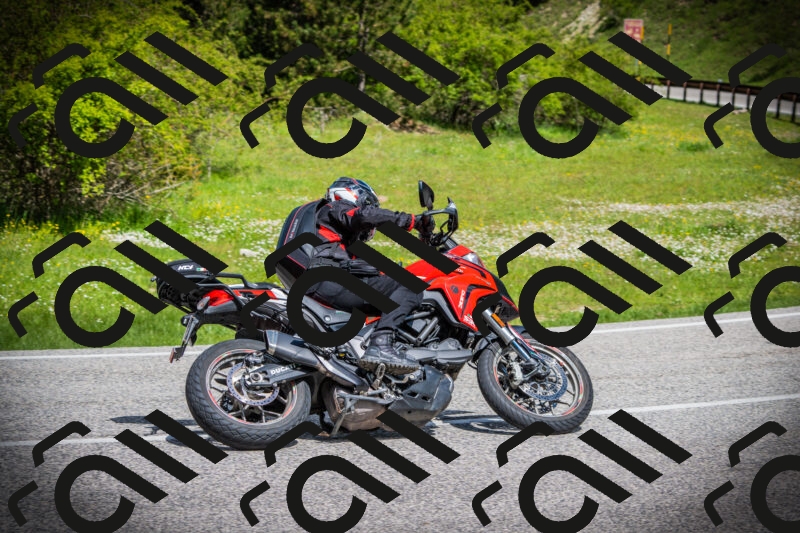 202505171015-DSC03926_c1_