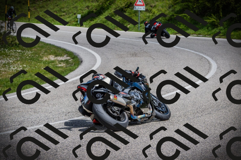 202505171016-DSC03939_c1_