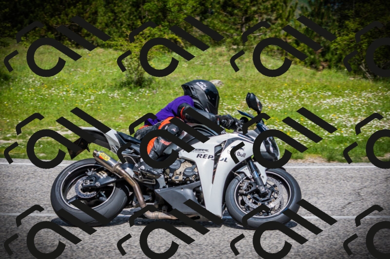 202505171016-DSC03945_c1_