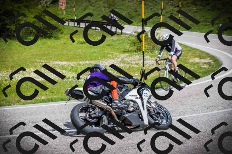 202505171016-DSC03946_c1_