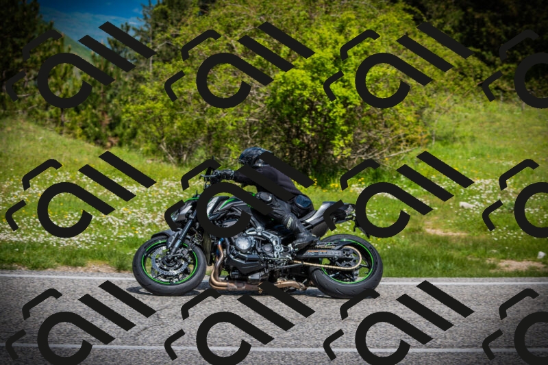 202505171016-DSC03951_c1_