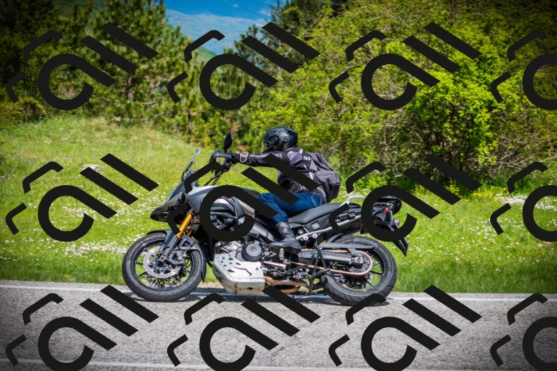 202505171016-DSC03955_c1_