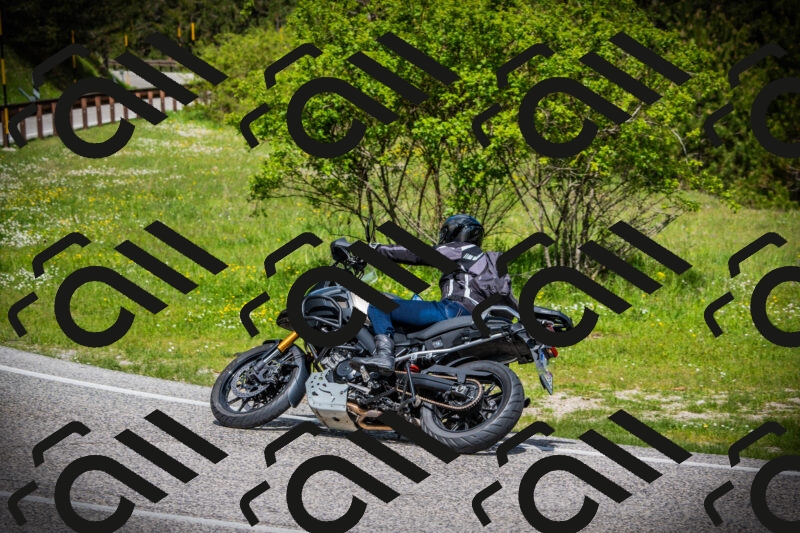 202505171016-DSC03956_c1_