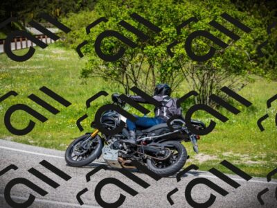 202505171016-DSC03956_c1_