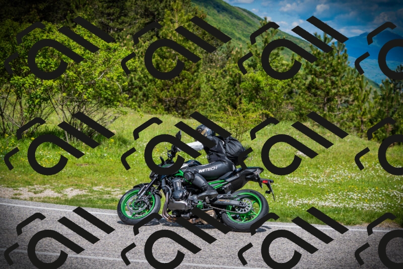 202505171016-DSC03961_c1_