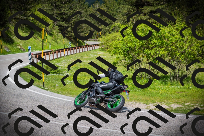 202505171016-DSC03962_c1_