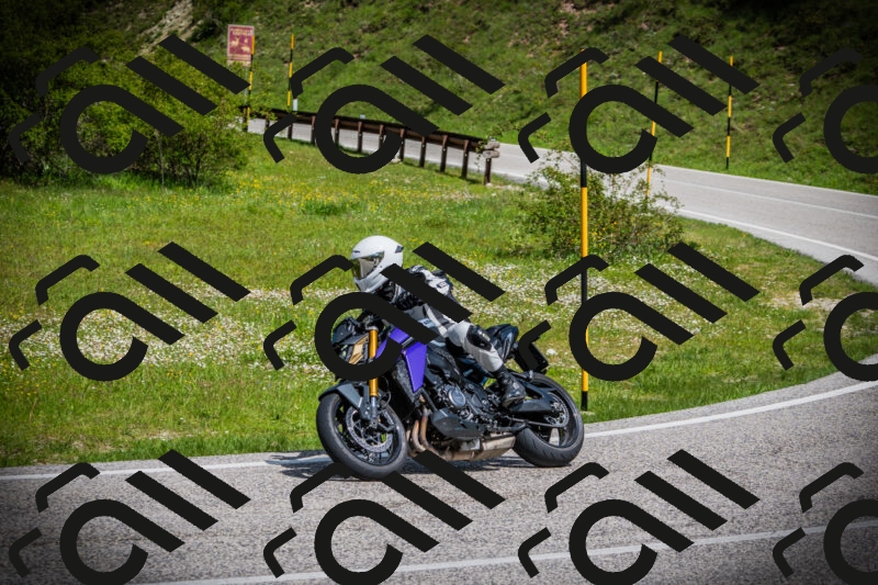 202505171016-DSC03963_c1_