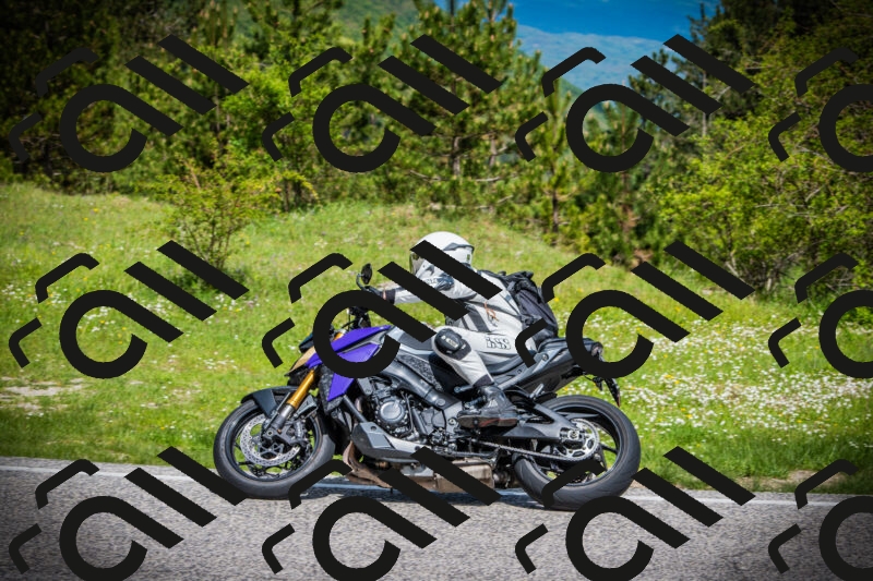 202505171017-DSC03964_c1_