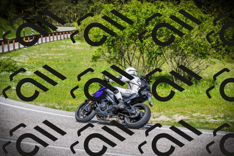 202505171017-DSC03965_c1_