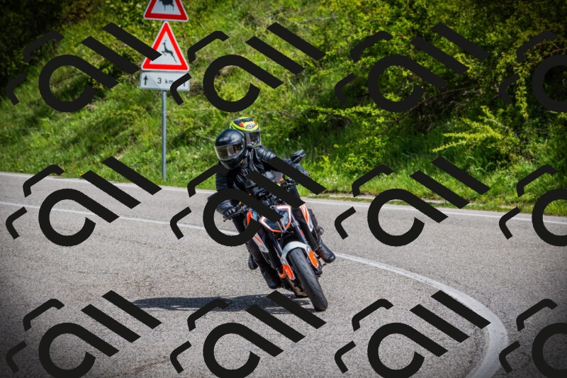 202505171017-DSC03974_c1_