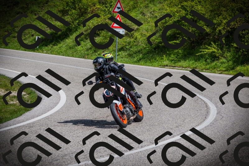 202505171017-DSC03975_c1_