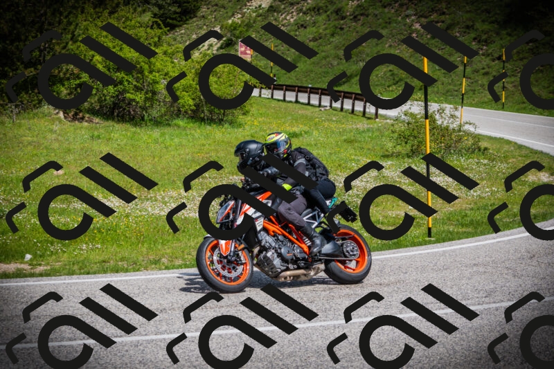 202505171018-DSC03976_c1_