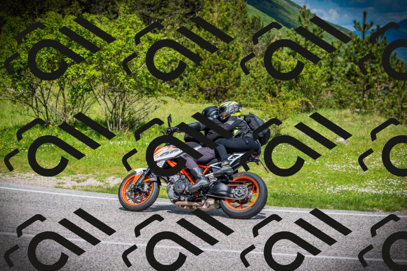 202505171018-DSC03978_c1_