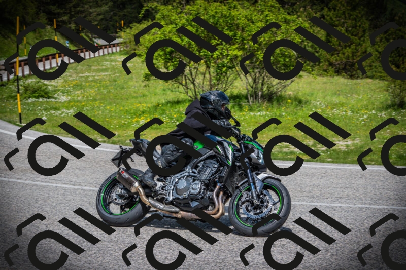 202505171018-DSC03984_c1_