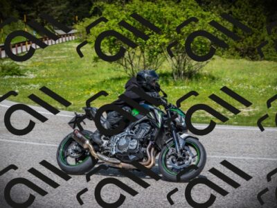 202505171018-DSC03984_c1_