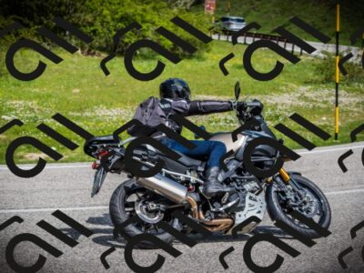 202505171018-DSC03986_c1_