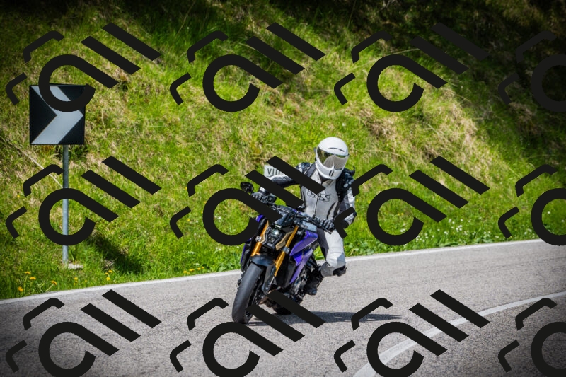 202505171018-DSC03989_c1_