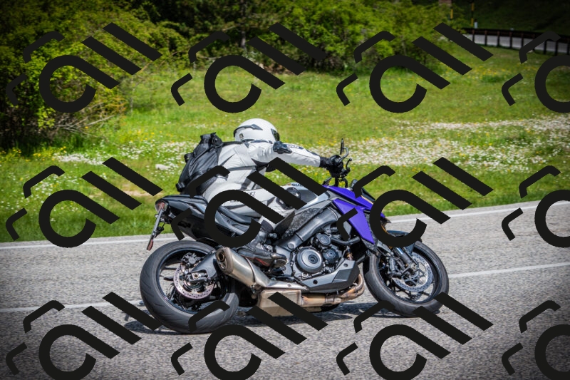 202505171018-DSC03993_c1_