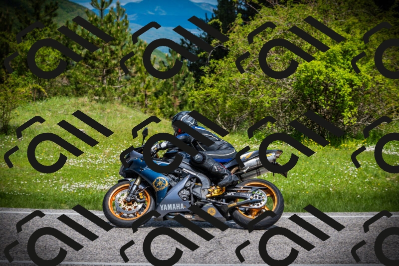 202505171018-DSC04008_c1_