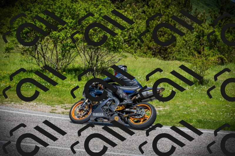 202505171021-DSC04062_c1_