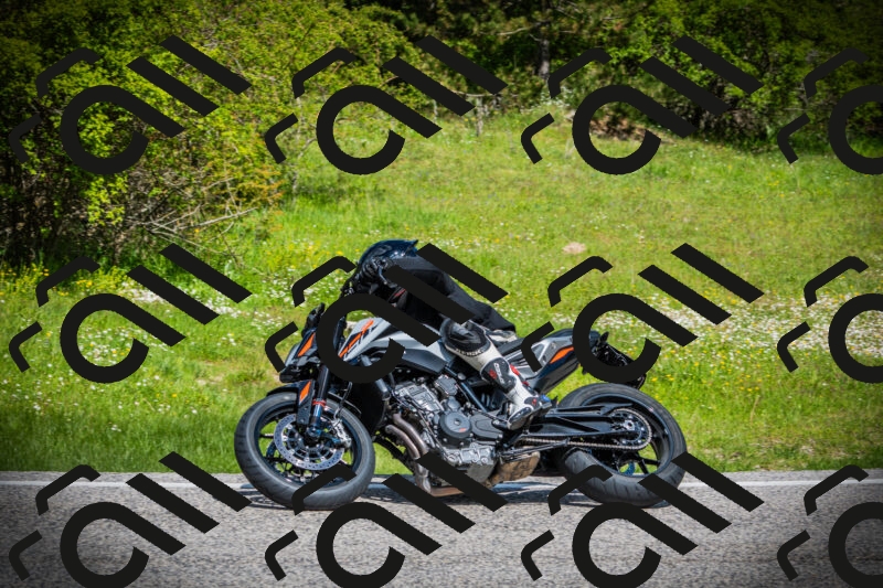 202505171022-DSC04094_c1_