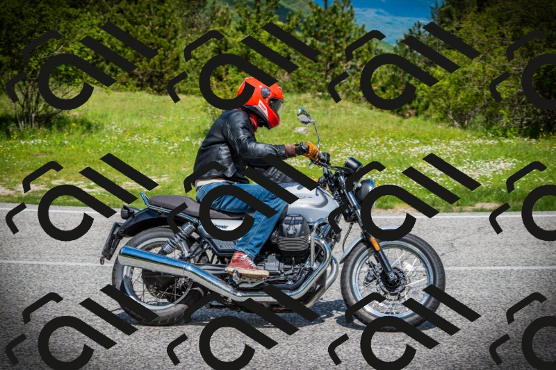 202505171023-DSC04110_c1_