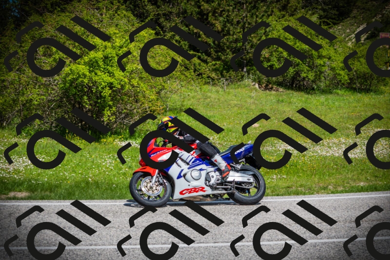 202505171024-DSC04116_c1_